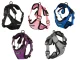 Pressure-Free Dog Harness with Leash, Size L
