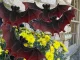 Halloween Bat Decoration, Set of 4, Brown-Black