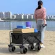 Gardlov Folding Transport Cart 100 kg, Black