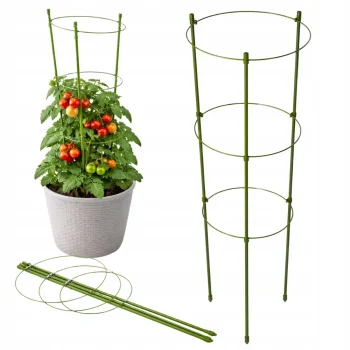 Plant Support with 3 Rings 60cm Green DIVODV