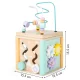 Ecotoys Wooden Educational Cube with Sorter and Maze