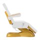 Electric Cosmetic Chair Sillon Lux 273B 3 Motors Gold White