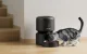 Automatinis gyvūnų maisto dozatorius Petlibro Granary 3L, juodas