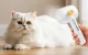 Steam Pet Grooming Brush Rojeco RZSTX-02 IPX7 White