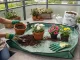 DIVODV Plant Repotting Mat 116x116cm Green