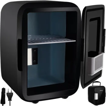 Picnic Beach Mini Cooling Box for Food Drink 220V/12V, 4L, Black