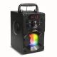 Audiocore AC730 Portable Bluetooth 5.0 Speaker with FM, USB, AUX