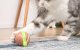 Cheerble Wicked Snail Interactive Cat Toy, Brown