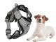 Pressure-Free Dog Harness with Leash, Size L