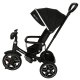 Ikonka TRIKE FIX Elite 2-in-1 Tricycle / Stroller, Black