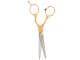 Professional Hairdressing Scissors for Hair Cutting, 16 cm