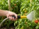 Garden Hose Spray Gun with Connectors, Yellow-Black