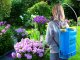 Battery backpack pressure garden sprayer with long telescopic lance, 16L, blue