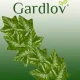 Gardlov Artificial Ivy Garland 50.4m, Green
