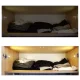 LED Cabinet Hinge Light 3-LED Automatic On/Off Closet Light 23025
