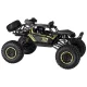 Rock Crawler Remote Control Car 2.4GHz 1:8, 51cm, Black