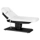 Electric SPA Treatment Bed Sillon Relax, 63-87 cm, White / Dark Wood Base