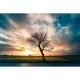 Laowa C&D-Dreamer 9 mm f/2.8 Zero-D Lens for Micro 4/3, Black