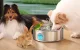 Smart Pet Water Fountain Oneisall PWF-002 7L Stainless Steel Dispenser