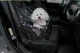 Petsi ME11 Car Seat Pet Carrier for Dogs and Cats, Black