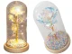 Eternal Rose in Glass Dome with LED Lighting