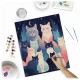 Massido Paint by Numbers 40x50 cm, Cats