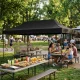 Automatic Pop-Up Event Gazebo MultiGarden 3x6m, Black