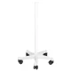 Azzurro H1107 Sonia Facial Steamer Vapozone