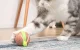 Cheerble Wicked Snail Interactive Cat Toy, Brown