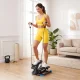 Dual-Function Twist and Step Stepper EvoStep X with Resistance Bands, Black/Blue