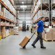 Folding Hand Truck Dolly Cart by ModernHome, 66 lbs Capacity for Luggage & Boxes