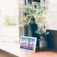Meteo SP107 Weather Station, White