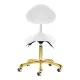 Cosmetic Stool Giovanni 1004, White/Gold