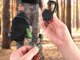 Retractable Keychain with Carabiner, Heavy Duty Badge Reel for Keys and ID Cards