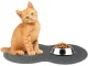 Waterproof Non-Slip Bowl Mat for Dogs and Cats (26 x 46 cm)