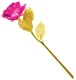 Eternal Rose in Gift Box AG774B, Gold / Pink