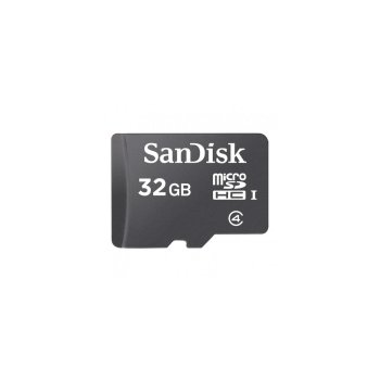 SanDisk 32GB microSDHC Memory Card, Grey