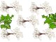 Frosted Rowan White Christmas Decoration, 5 Bouquets, 200 Balls, Shiny Frost Effect
