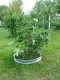 Galvanized Metal Ring Lawn Border Separator, Ø 48 cm, H 10 cm