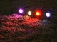 RGB Solar Garden Lamp with Color Changing, 42 cm