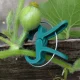 Plant Support Clips 12 pcs, Green