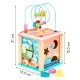 ECOTOYS Dino Wooden Activity Cube with Bead Maze and Shape Sorter