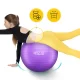 Gimnastikos kamuolys 4FIZJO Reh Ball 65 cm, violetinis