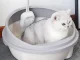 Open Cat Litter Box with High Sides and Scoop, 44.5x48.5 cm