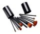 Makeup Brush Set, 12 Pcs, with Case, Black