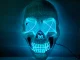 LED Glowing Skull Mask for Halloween and Parties, Universal Size