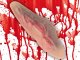 Fake Slit Throat Wound with 10ml Fake Blood for Halloween