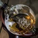 Gift Set Decanter and Whiskey Glasses Globe, 850 ml