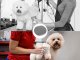 2in1 Pet Drying Brush, Dog and Cat Grooming Hair Dryer-Comb