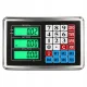 Electronic Platform Scale 200 kg, 40 x 30 cm with Post Display and Tare Function